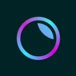 Скачать Пресеты для Lightroom – PRO Лайтрум Presets на Андроид