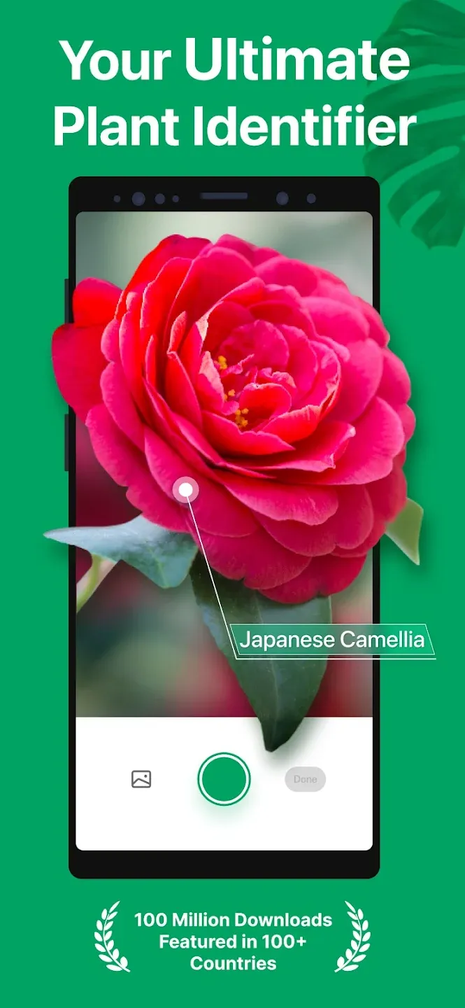 PictureThis - Plant Identifier v5.26.0 APK Мод (Всё открыто, Premium) Screenshot 1 PictureThis - Plant Identifier v5.26.0 APK Мод (Всё открыто, Premium) Screenshot 1