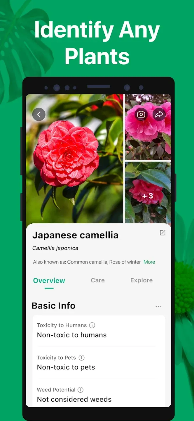 PictureThis - Plant Identifier v5.26.0 APK Мод (Всё открыто, Premium) Screenshot 2 PictureThis - Plant Identifier v5.26.0 APK Мод (Всё открыто, Premium) Screenshot 2