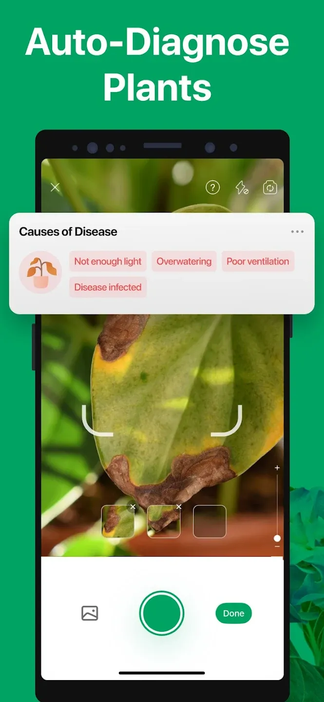 PictureThis - Plant Identifier v5.26.0 APK Мод (Всё открыто, Premium) Screenshot 4 PictureThis - Plant Identifier v5.26.0 APK Мод (Всё открыто, Premium) Screenshot 4