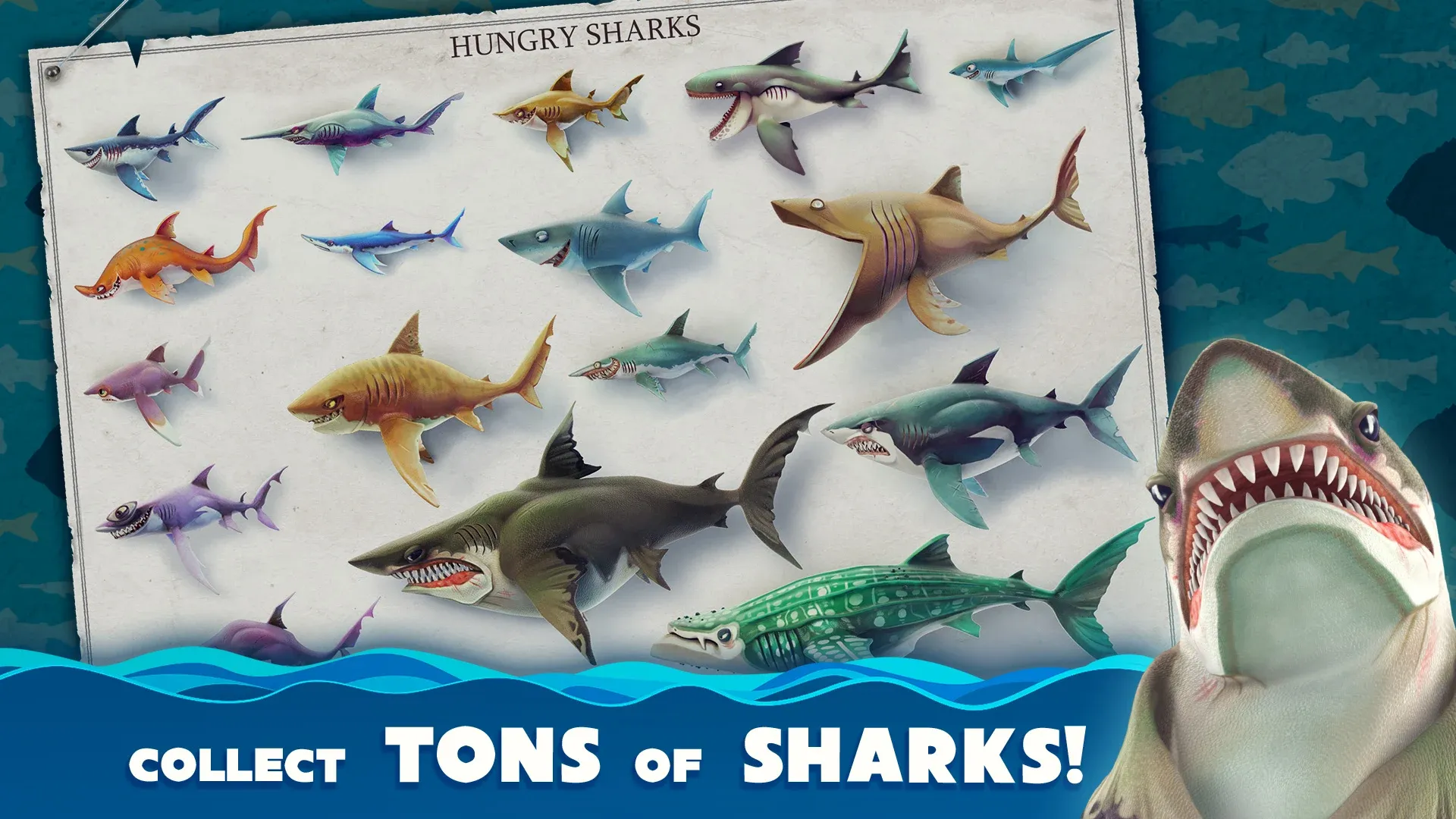 Hungry Shark World v7.8.1 APK Мод (Много денег) Screenshot 2