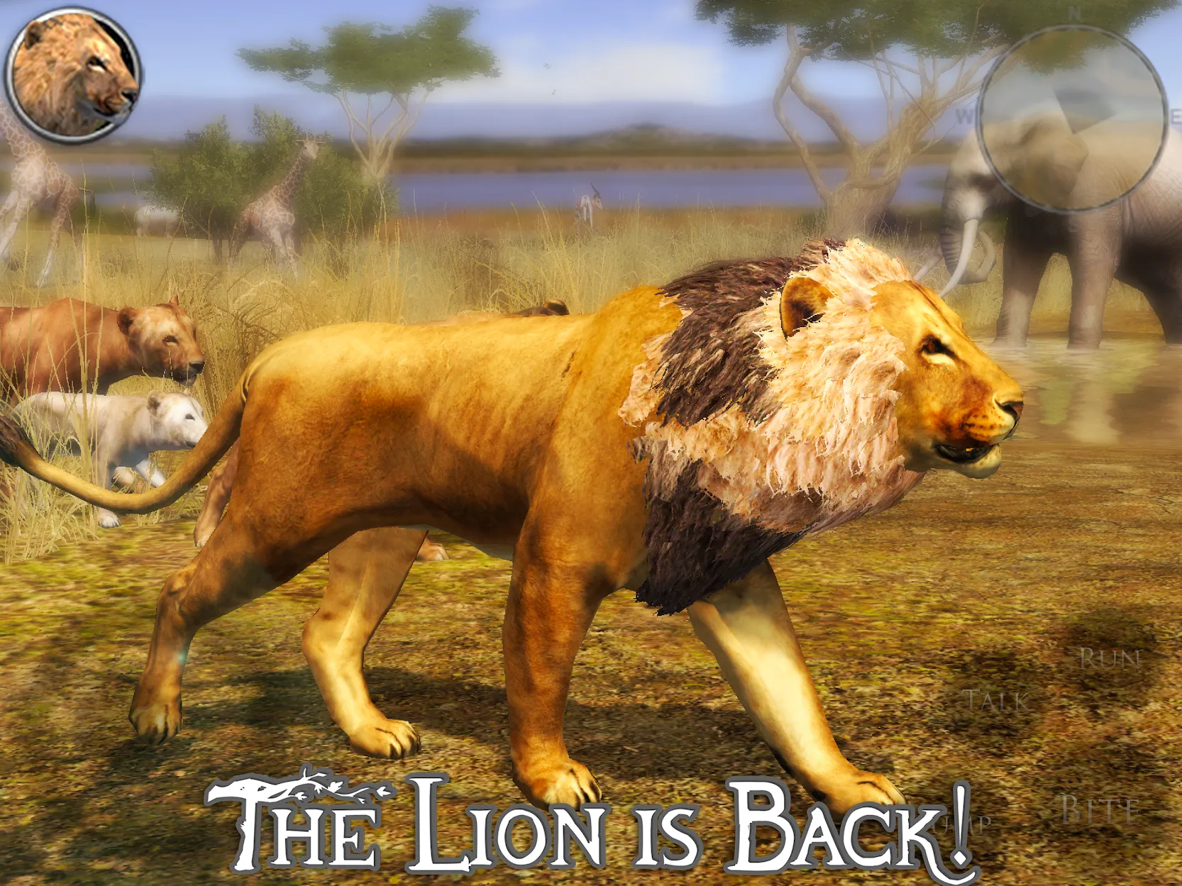 Ultimate Lion Simulator 2 [мод: много очков умений] Screenshot 1