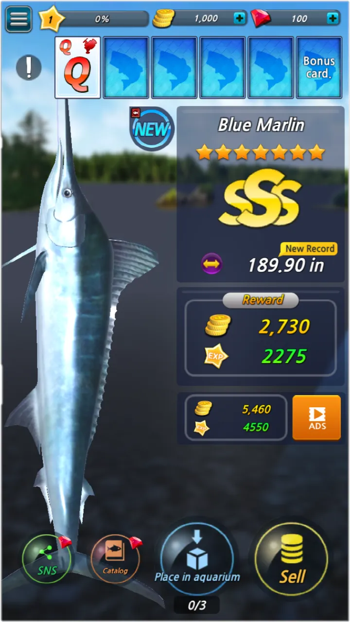 Fishing Season: River To Ocean v1.12.16 APK Мод (Множитель урона) Screenshot 3 Fishing Season: River To Ocean v1.12.16 APK Мод (Множитель урона) Screenshot 3
