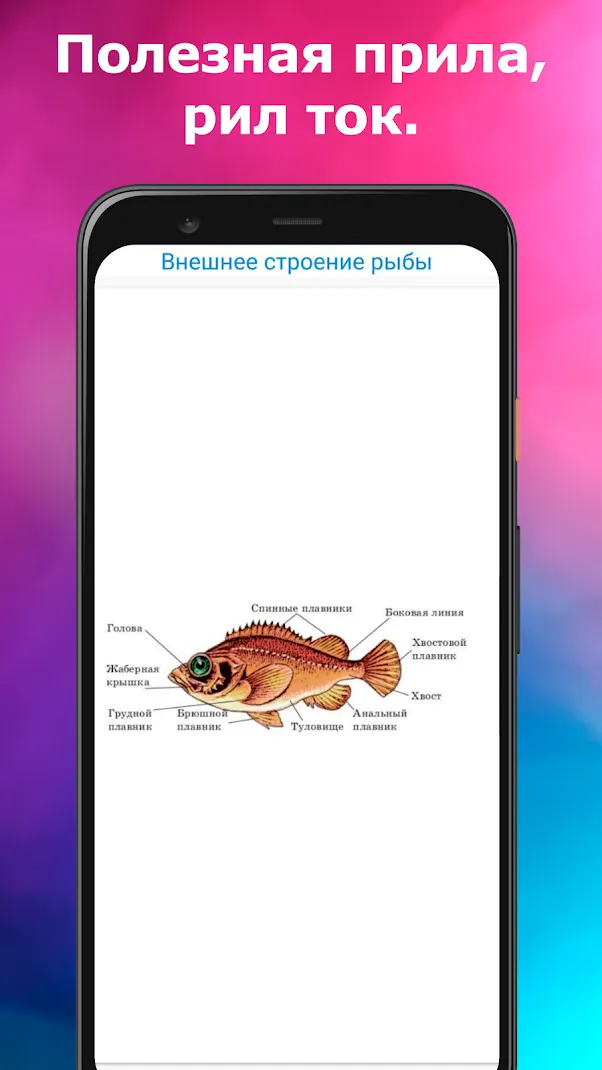 ЕГЭ Биология Screenshot 5