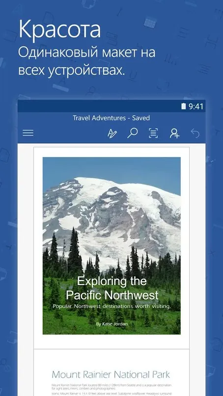 Microsoft Word Screenshot 1