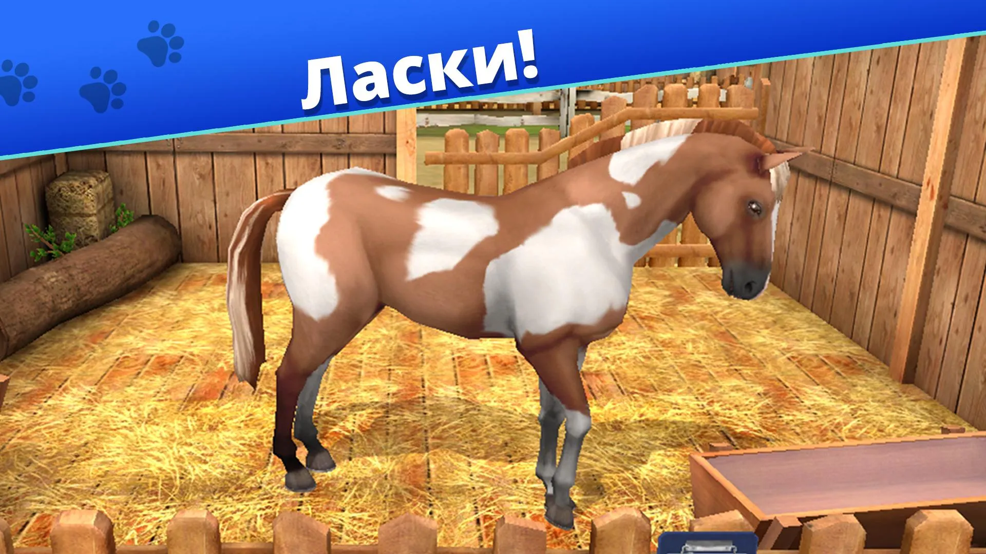 Pet World - приют для животных [мод: бесплатные покупки] Screenshot 5