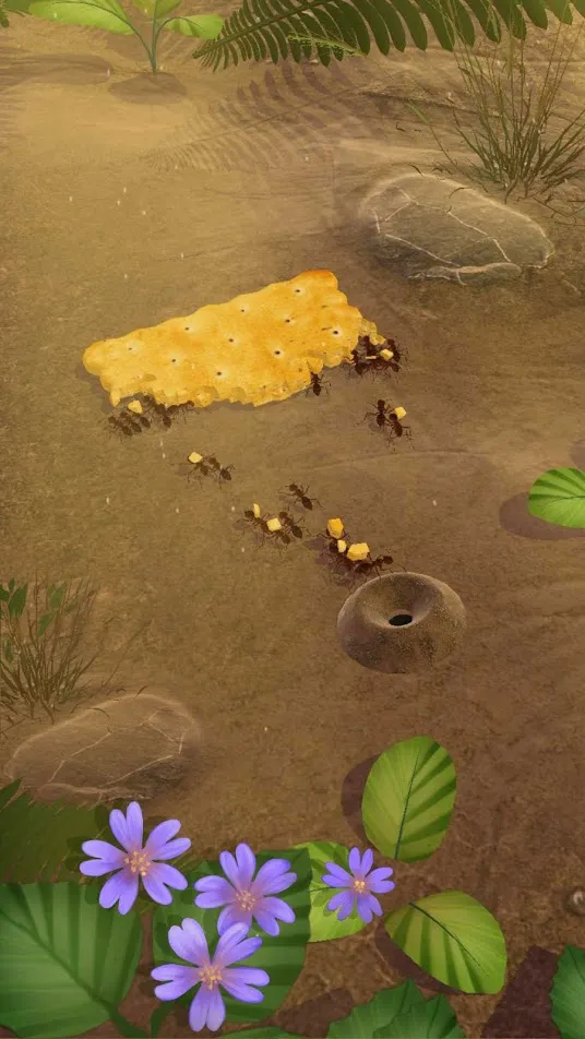 Little Ant Colony – Idle Игра [мод: много еды и днк] Screenshot 5