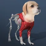 Скачать Idle Pet – Create cell by cell [мод: бесплатные покупки] на Андроид