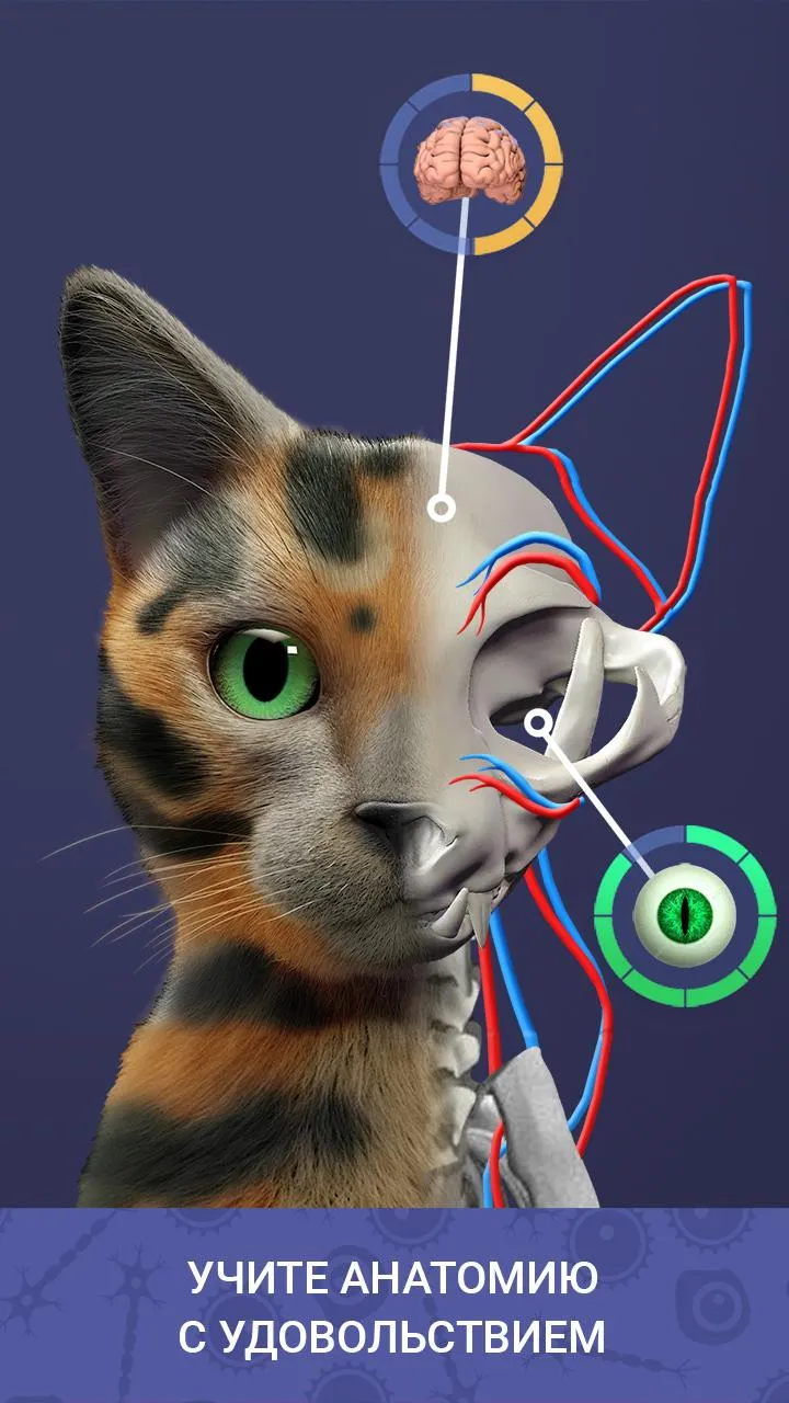 Idle Pet – Create cell by cell [мод: бесплатные покупки] Screenshot 5