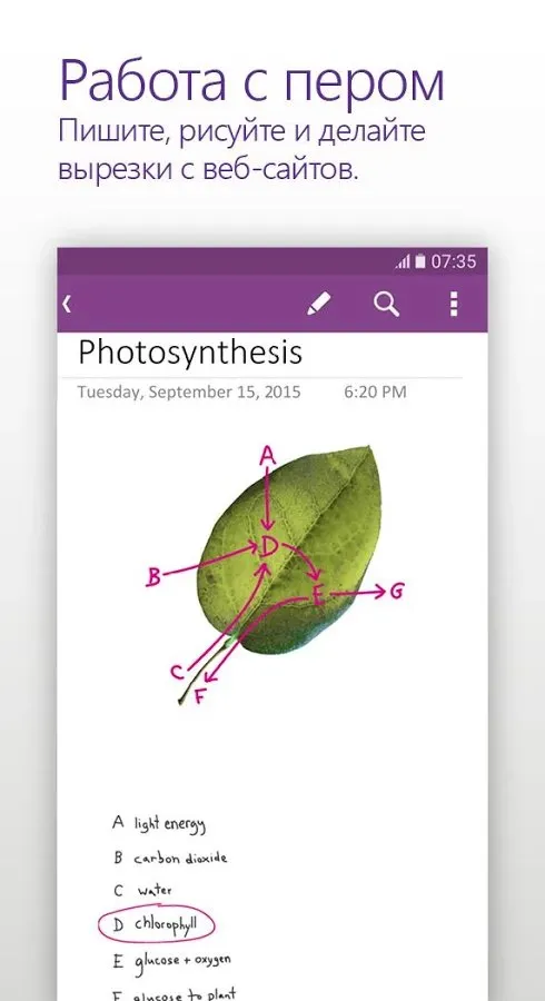 Microsoft OneNote: Save Notes Screenshot 2 Microsoft OneNote: Save Notes Screenshot 2
