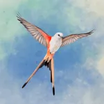Скачать Wingspan (Крылья) Мод (Полная версия) на Андроид