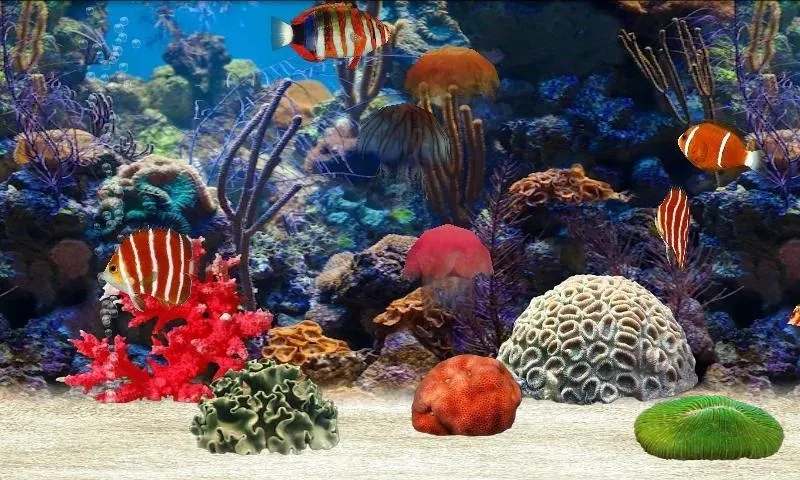 Fish Farm [мод: много денег] Screenshot 1