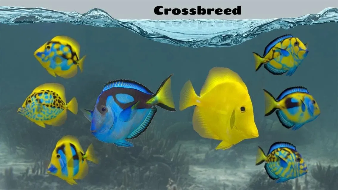 Fish Farm 2 [мод: много денег] Screenshot 4