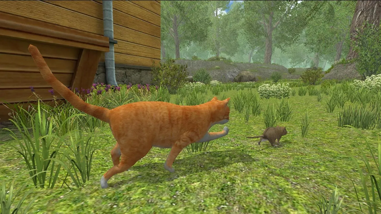 Симулятор Мыши : Лес и Дом [мод: бесплатные покупки] Screenshot 3