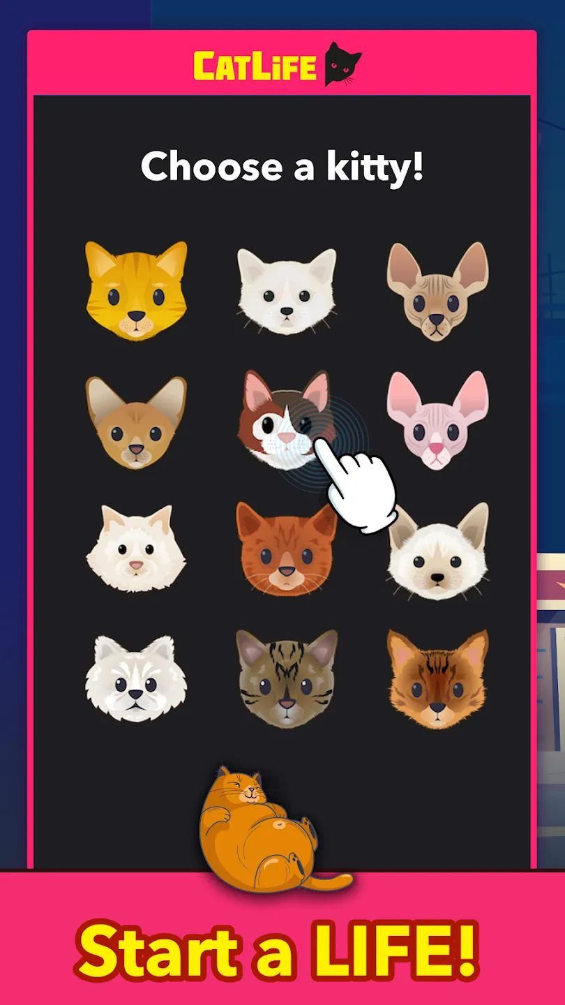 BitLife Cats - CatLife v1.8.5 APK Мод (Без рекламы) Screenshot 1