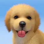 Скачать My Dog:Pet Game Simulator [мод: без рекламы] на Андроид