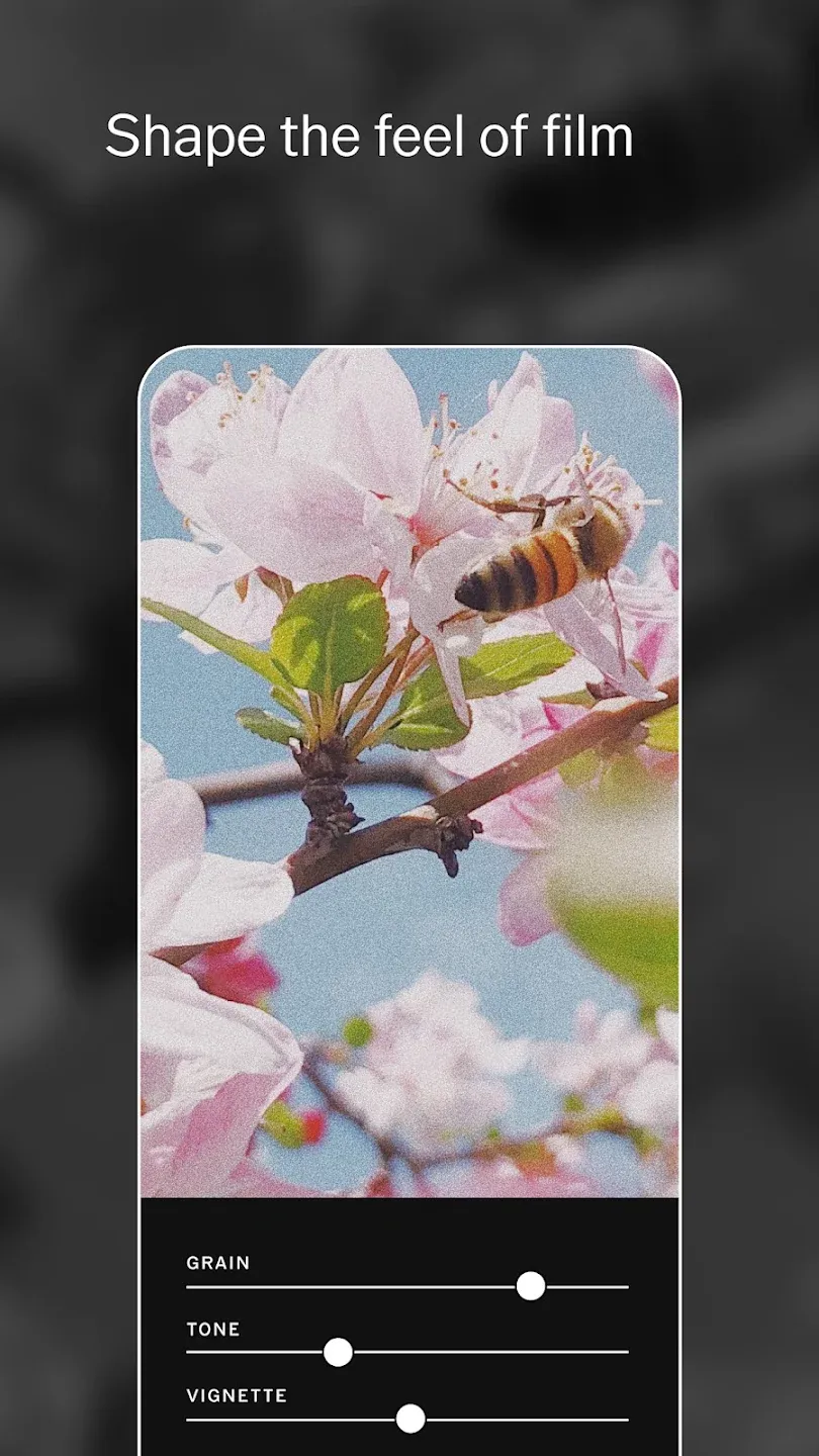 VSCO: Редактор фото и видео v463.1 APK Мод (Всё открыто, Premium) Screenshot 4